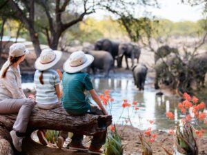 Allianz Travel Insurance: A Comprehensive Guide for Travelers