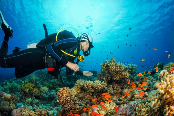 scuba diving punta cana