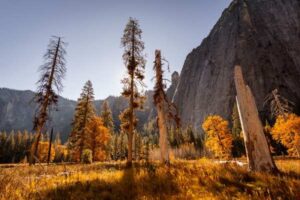 The Best National Parks to Visit in Fall for Stunning Foliage